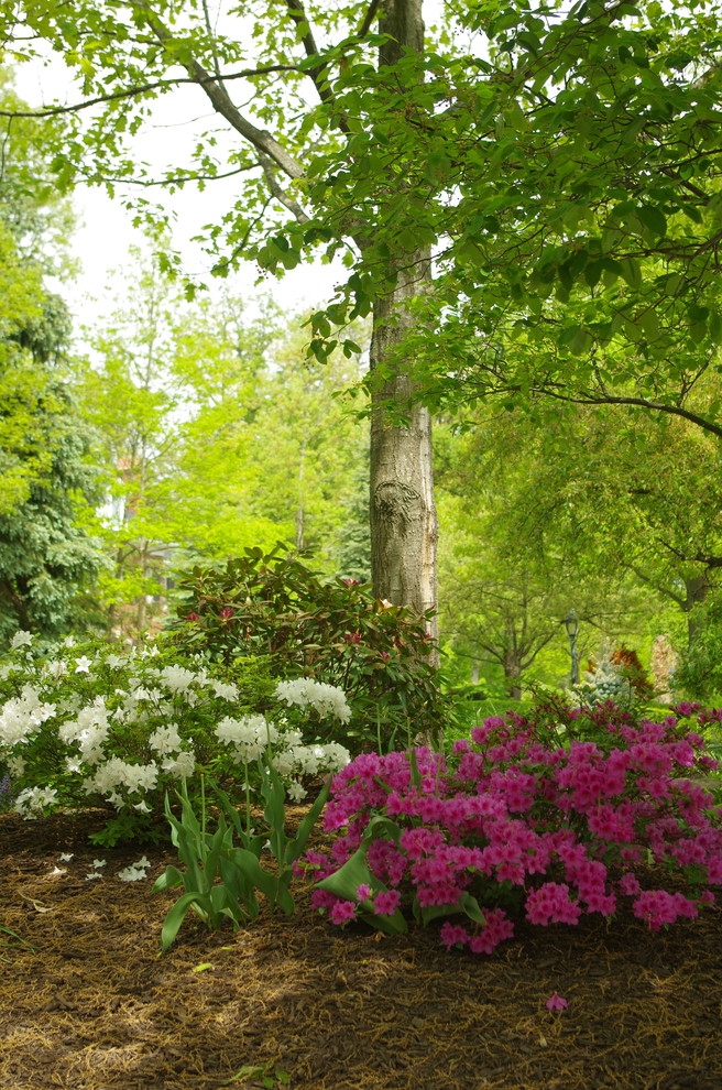 Kleiner, Schattiger Klassischer Garten im Frühling, hinter dem Haus in Chicago