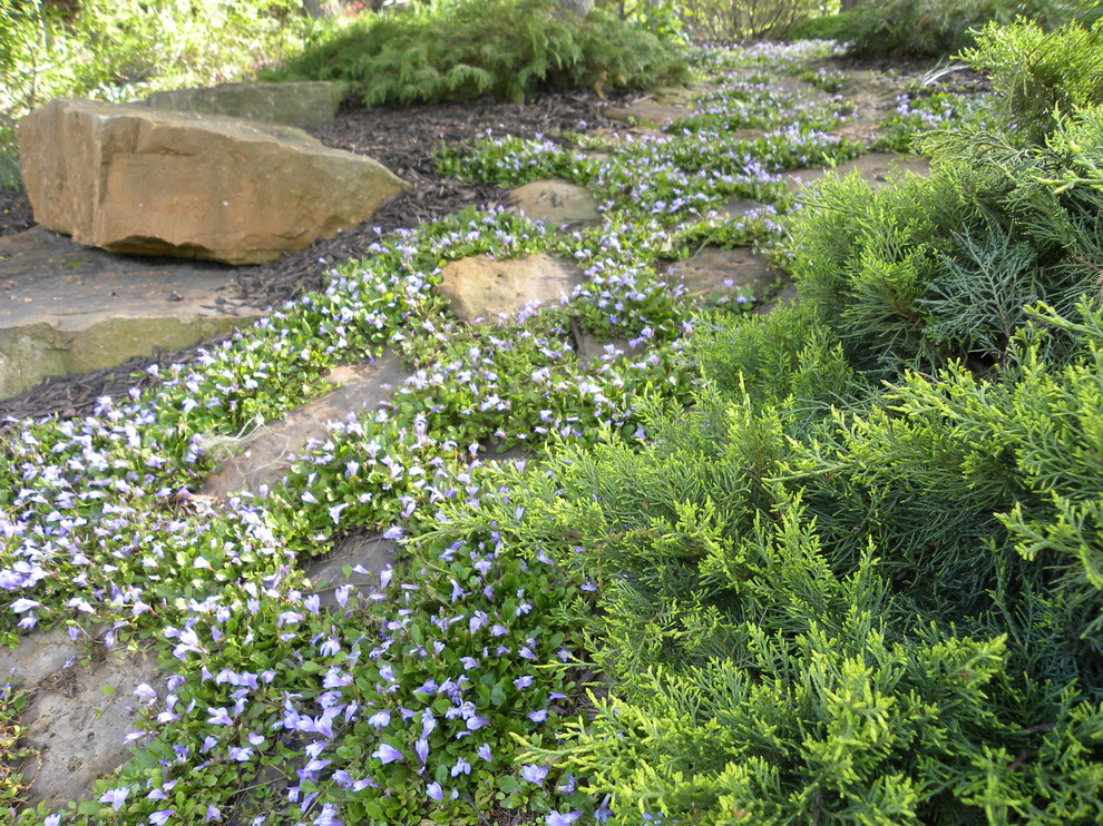 Cette image montre un petit aménagement d'entrée ou allée de jardin arrière chalet l'été avec une exposition ombragée et des pavés en pierre naturelle.