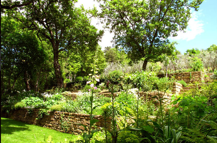 Foto di un giardino formale mediterraneo esposto in pieno sole in estate con ghiaia