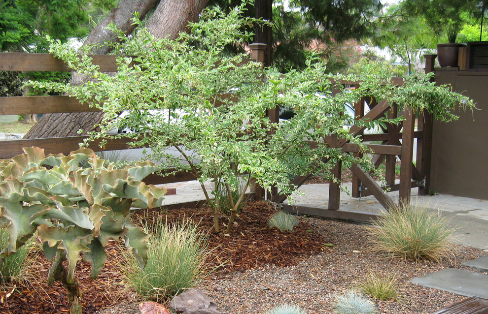 Cette photo montre un petit jardin avant tendance avec une exposition ensoleillée et une terrasse en bois.