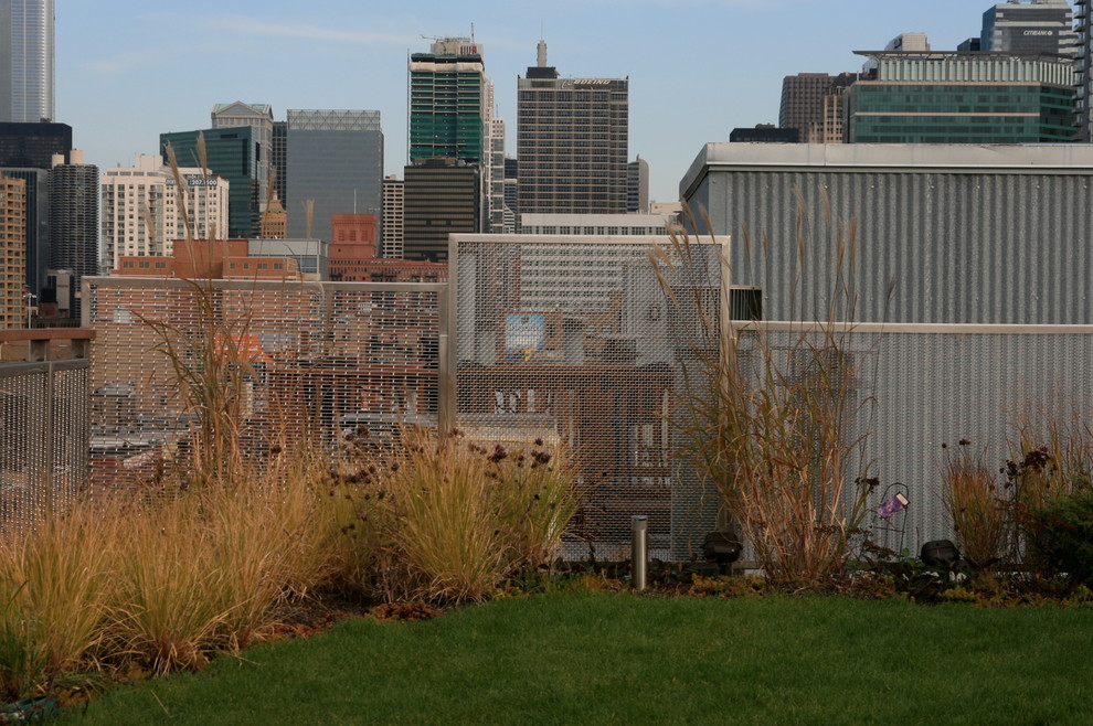Idées déco pour un jardin sur toit moderne de taille moyenne avec une exposition ensoleillée.