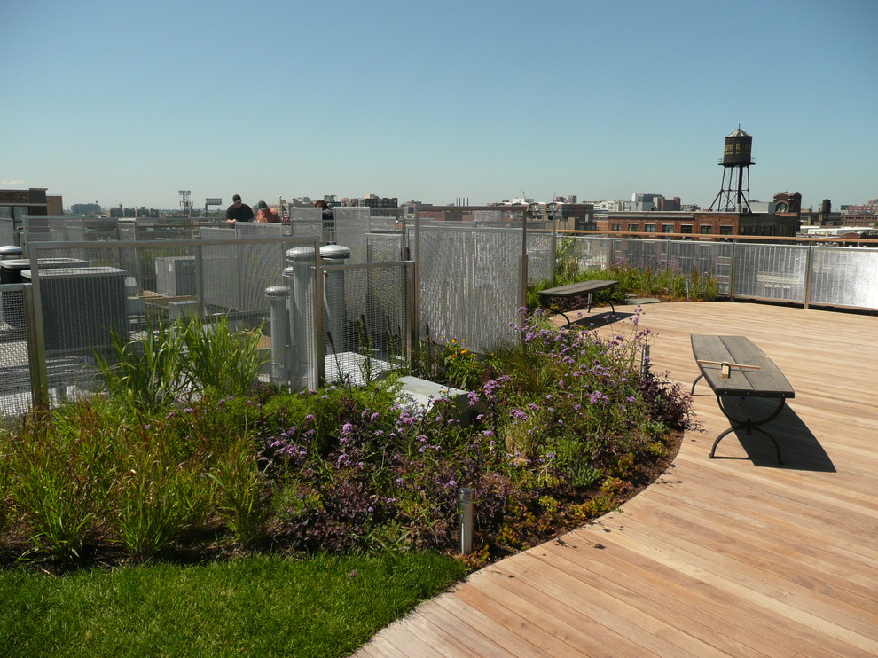 Exemple d'un jardin sur toit moderne de taille moyenne avec une exposition ensoleillée.