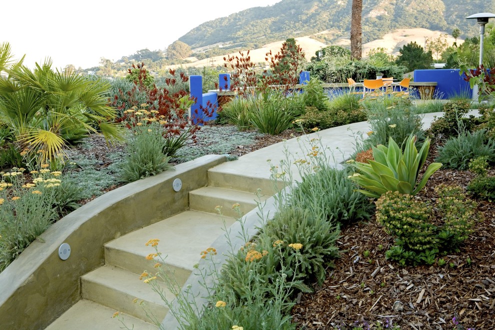Пример оригинального дизайна: участок и сад на заднем дворе в стиле фьюжн