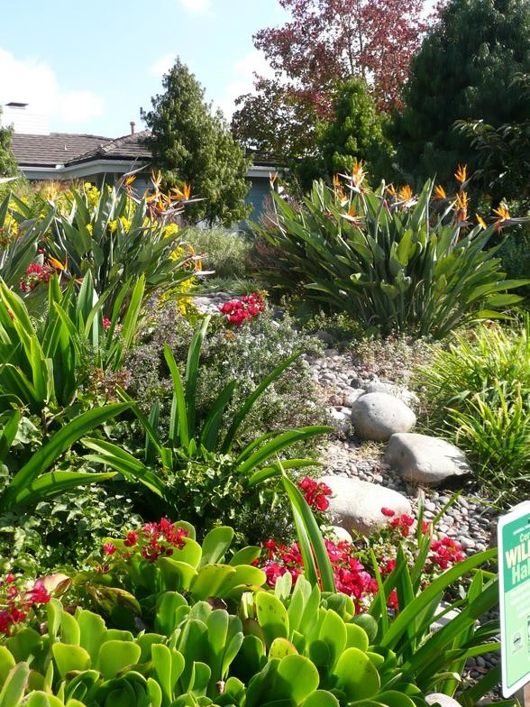 This is an example of a large partial sun front yard stone garden path in San Diego.