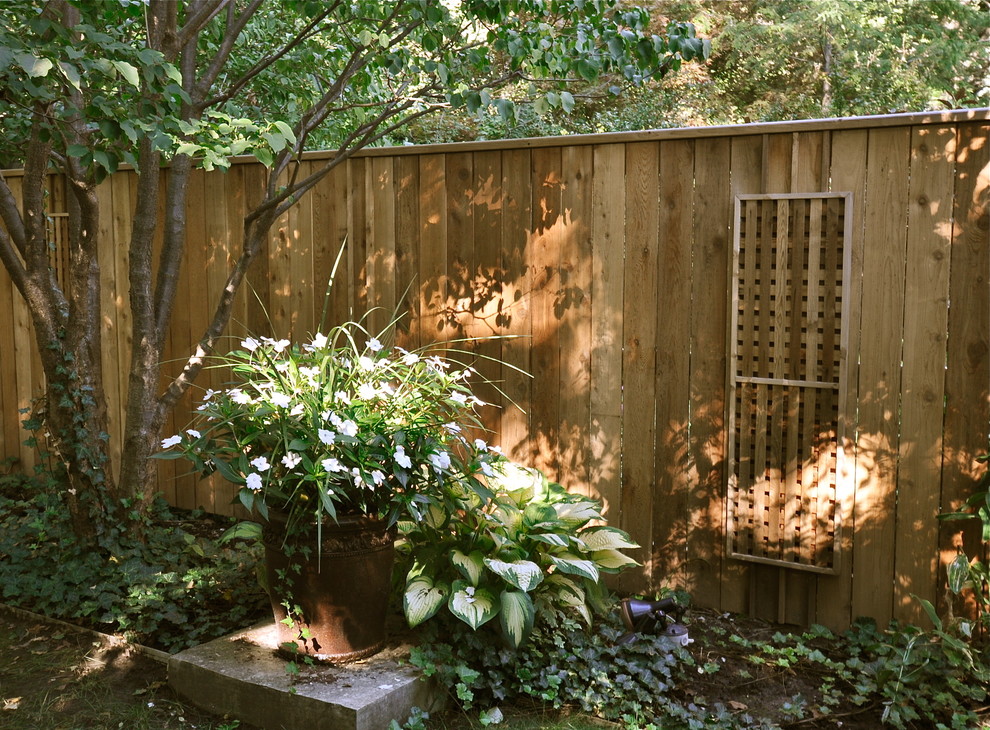 Стильный дизайн: тенистый участок и сад среднего размера на заднем дворе в современном стиле с растениями в контейнерах - последний тренд