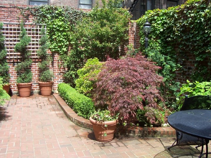 Kleiner Klassischer Garten mit direkter Sonneneinstrahlung und Pflastersteinen in New York