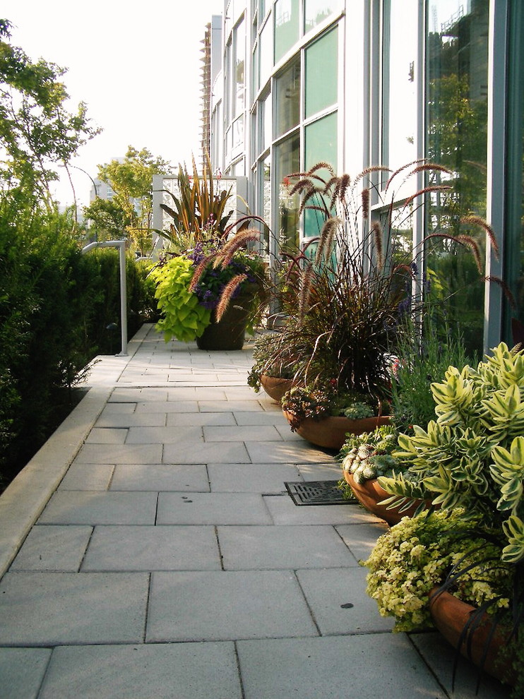 На фото: участок и сад в современном стиле с растениями в контейнерах с