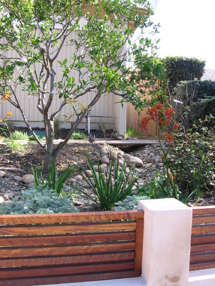 Photo of a mediterranean garden in San Francisco.