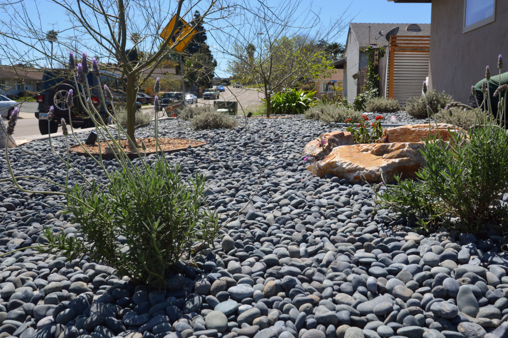 This is an example of a small coastal drought-tolerant and full sun front yard river rock garden path in San Diego.