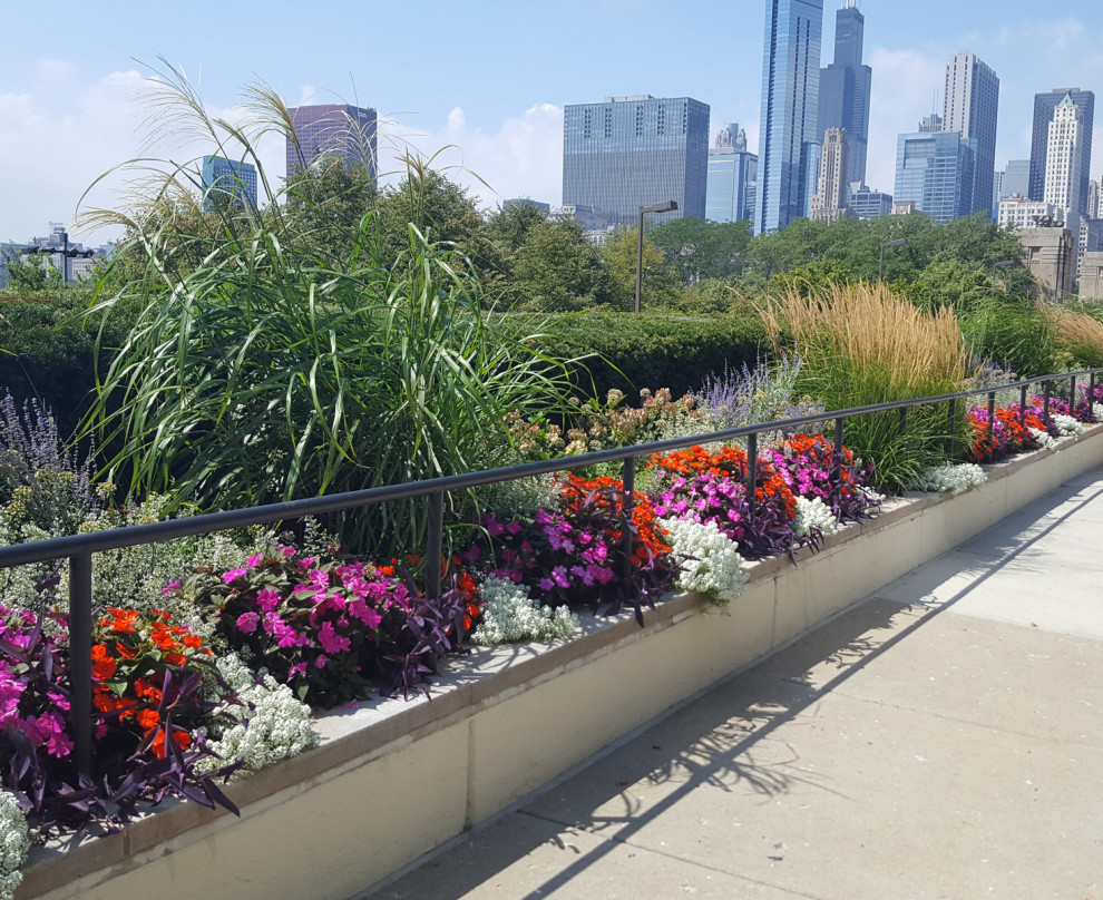 Clarence Davids and Company Landscape Chicago by Illinois