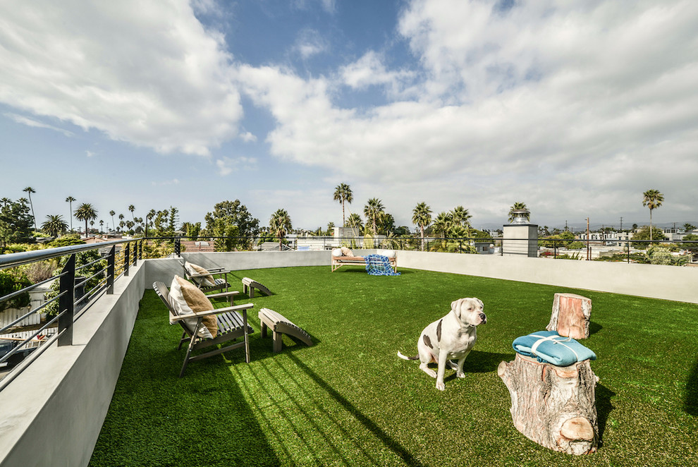 Inspiration for a large full sun rooftop landscaping in Los Angeles.