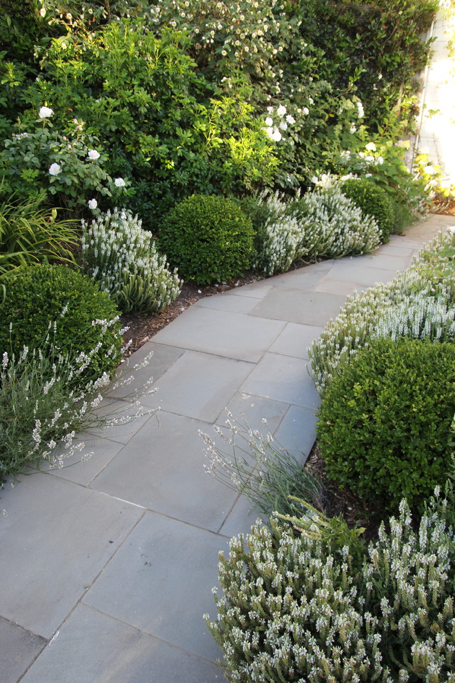 Пример оригинального дизайна: солнечный регулярный сад среднего размера на заднем дворе в классическом стиле с хорошей освещенностью и мощением тротуарной плиткой