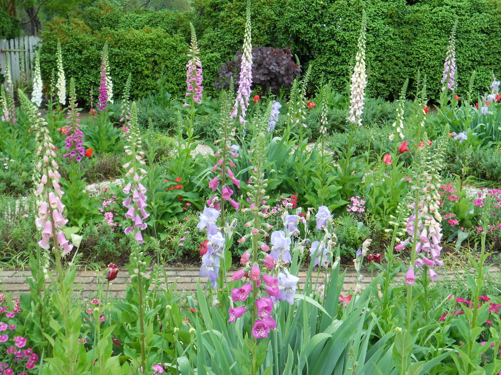 Photo of a traditional garden in Burlington.