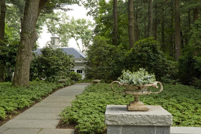 How To Use Pachysandra Responsibly In The Landscape