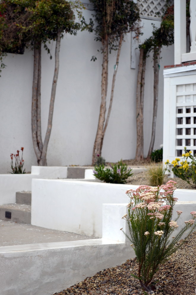 На фото: солнечный, весенний участок и сад среднего размера на заднем дворе в современном стиле с хорошей освещенностью и покрытием из гравия