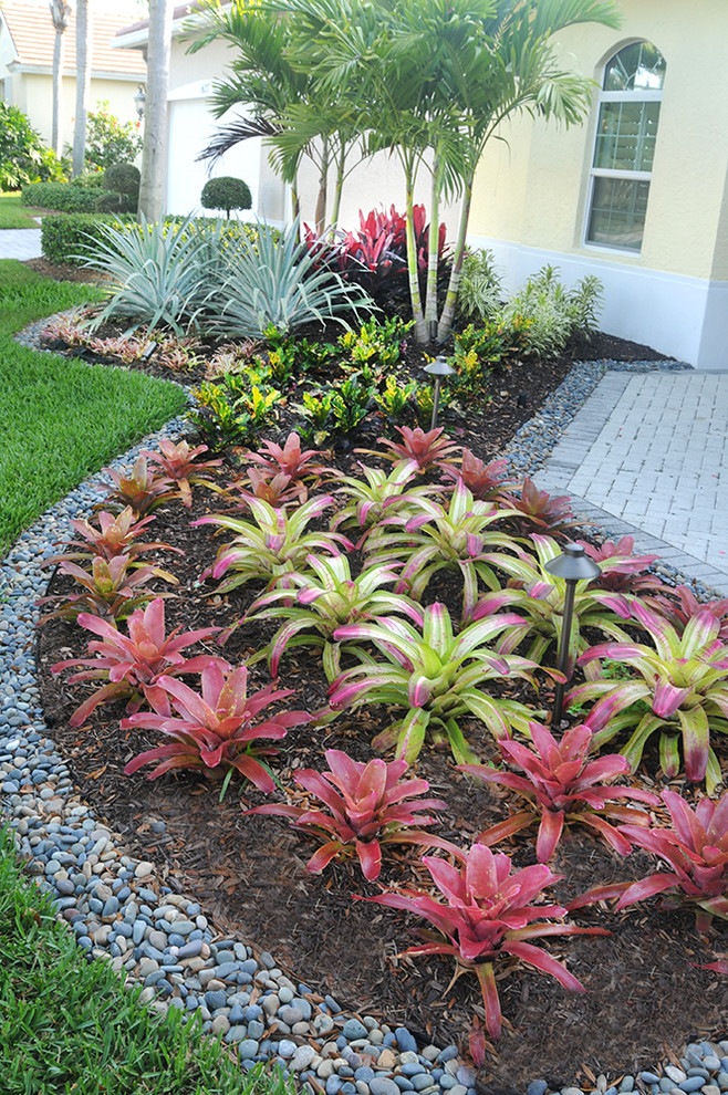 Ejemplo de jardín tropical de tamaño medio en patio delantero con jardín de macetas, exposición parcial al sol y adoquines de hormigón