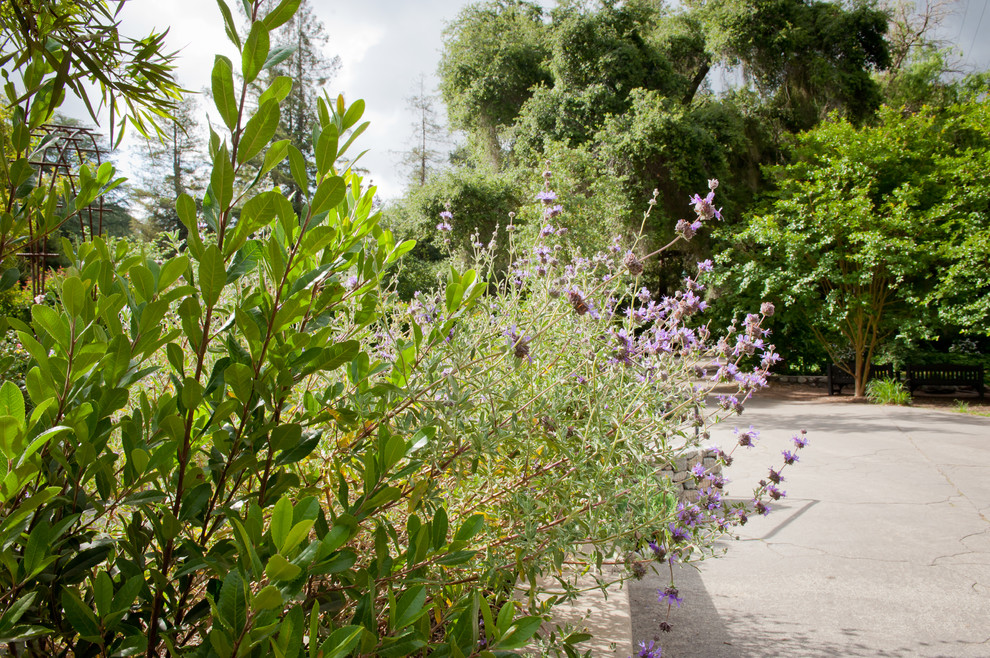 На фото: огромный солнечный, весенний засухоустойчивый сад в стиле фьюжн с хорошей освещенностью и покрытием из каменной брусчатки с