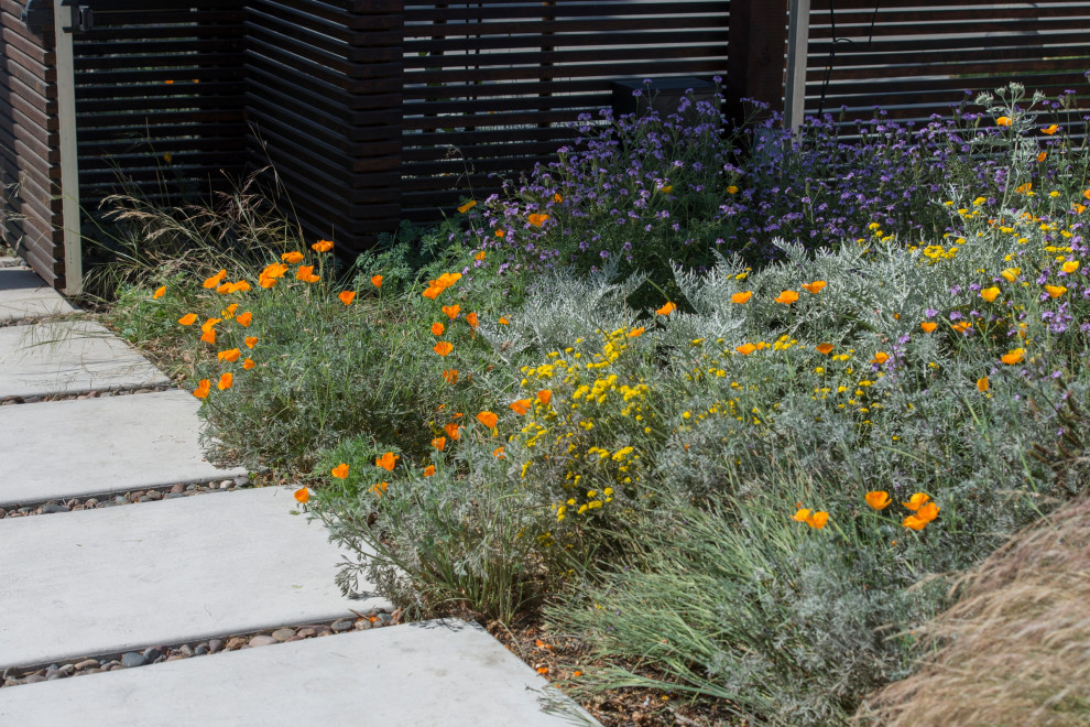 Стильный дизайн: маленький солнечный, весенний засухоустойчивый сад на переднем дворе в стиле ретро с хорошей освещенностью и мощением тротуарной плиткой для на участке и в саду - последний тренд