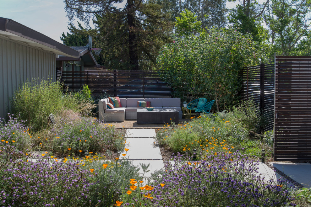 Ispirazione per un piccolo giardino xeriscape moderno esposto in pieno sole dietro casa in primavera