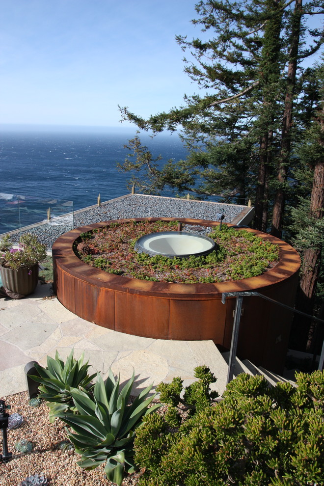 Photo of a contemporary full sun rooftop landscaping in San Francisco.