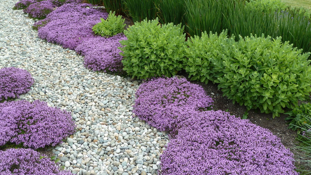 Design ideas for a medium sized classic front xeriscape full sun garden for summer in Seattle with gravel.