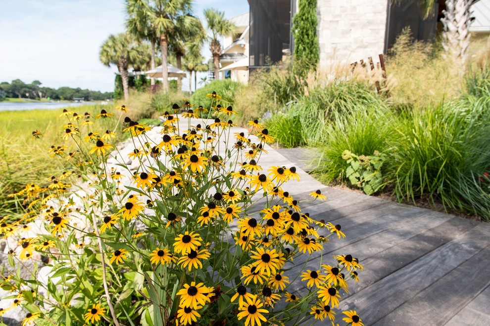 Design ideas for a contemporary landscaping in Charleston.