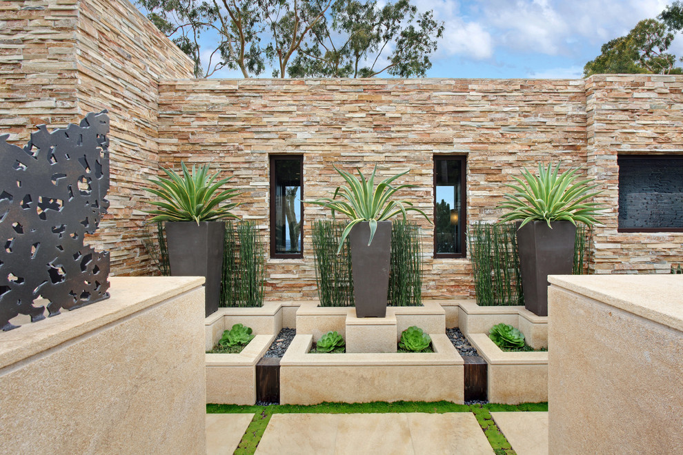 Идея дизайна: большой солнечный засухоустойчивый сад на заднем дворе в современном стиле с растениями в контейнерах, хорошей освещенностью и мощением тротуарной плиткой