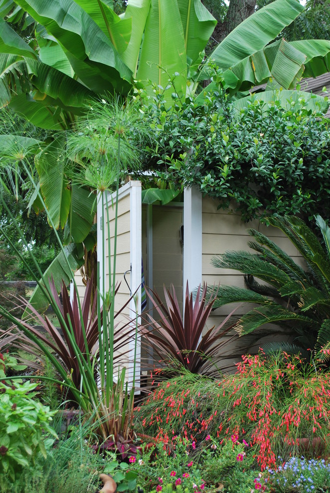 Inspiration för en mellanstor tropisk bakgård i delvis sol på våren, med grus