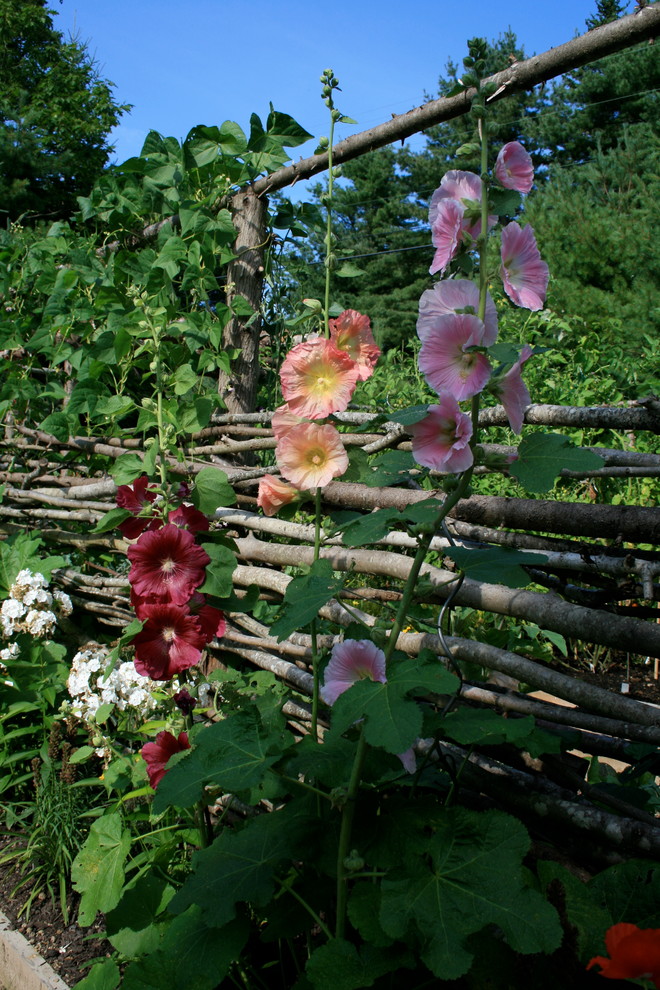 Bild på en stor rustik trädgård i full sol, med en köksträdgård och grus