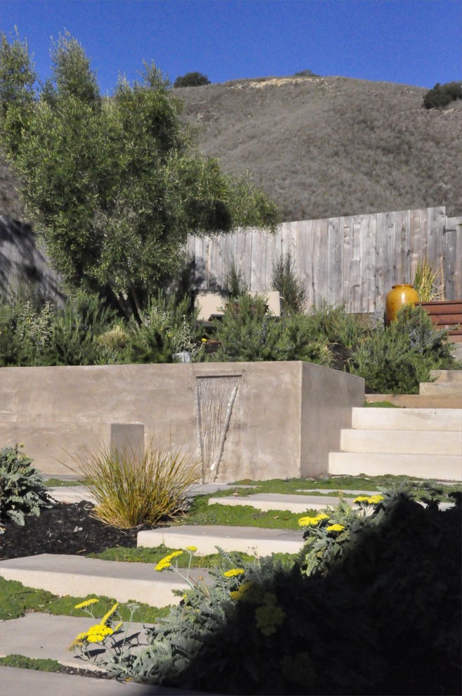 This is an example of a contemporary garden in San Luis Obispo.