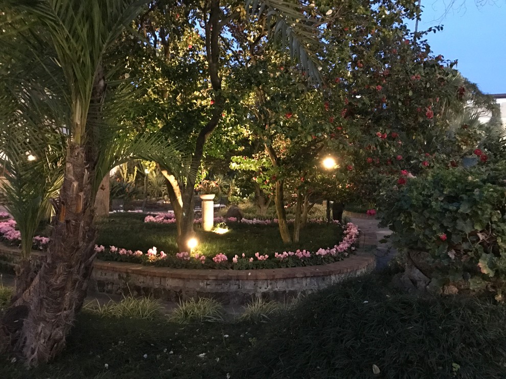 Immagine di un grande giardino mediterraneo esposto a mezz'ombra dietro casa con un ingresso o sentiero