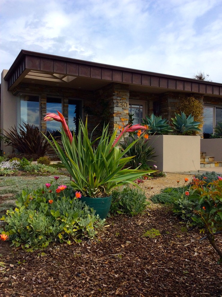Inspiration for a contemporary garden in San Luis Obispo.