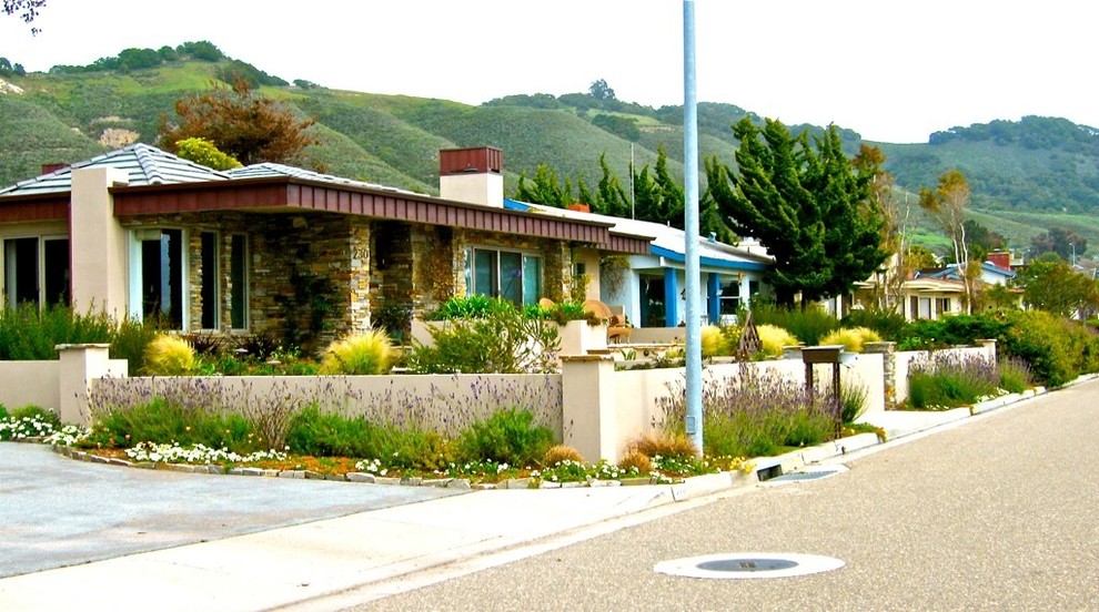 This is an example of a contemporary landscaping in San Luis Obispo.