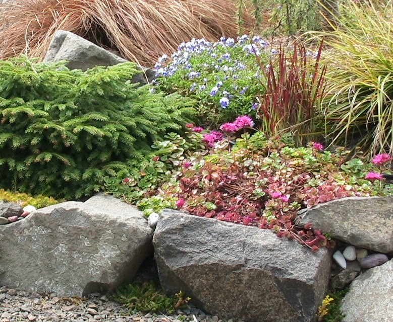 Inspiration for a traditional landscaping in Portland.