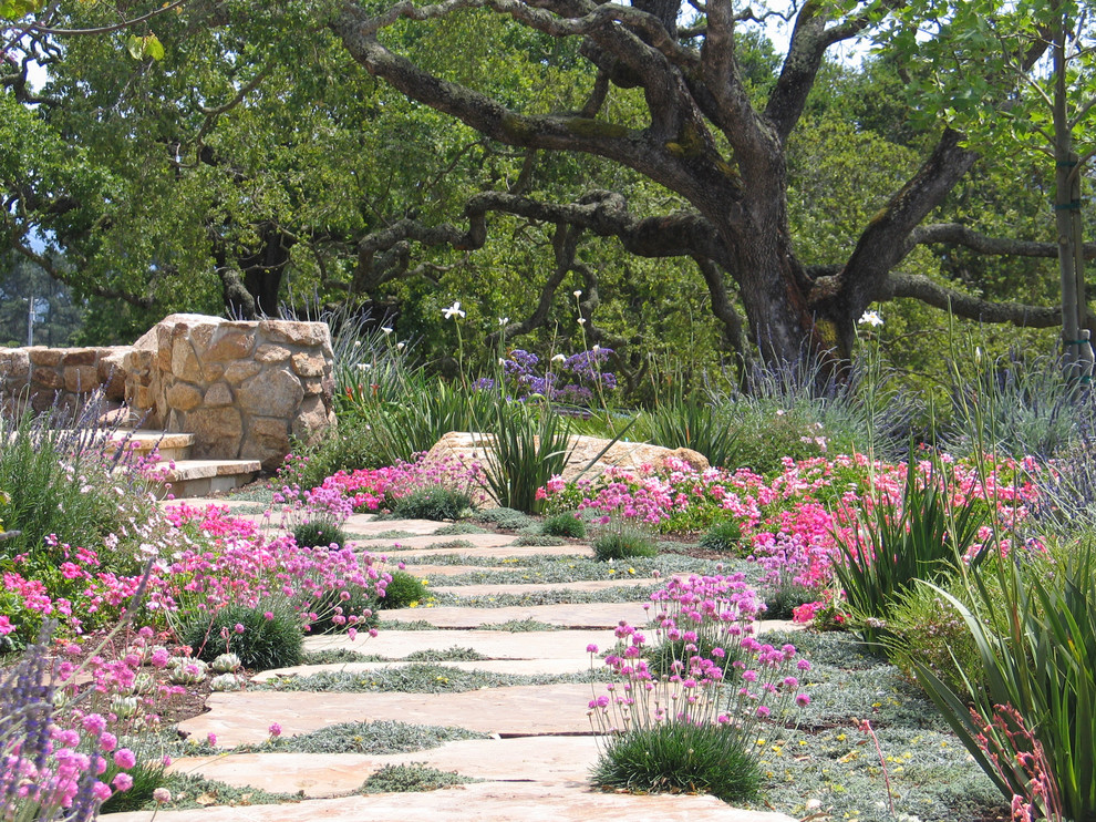Medium sized contemporary back formal partial sun garden in San Francisco with a garden path and natural stone paving.