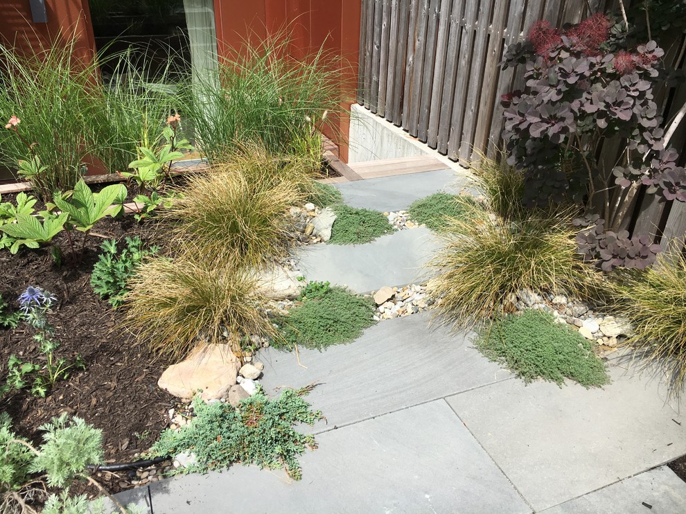 This is an example of an expansive contemporary back xeriscape full sun garden for summer in New York with a garden path and natural stone paving.
