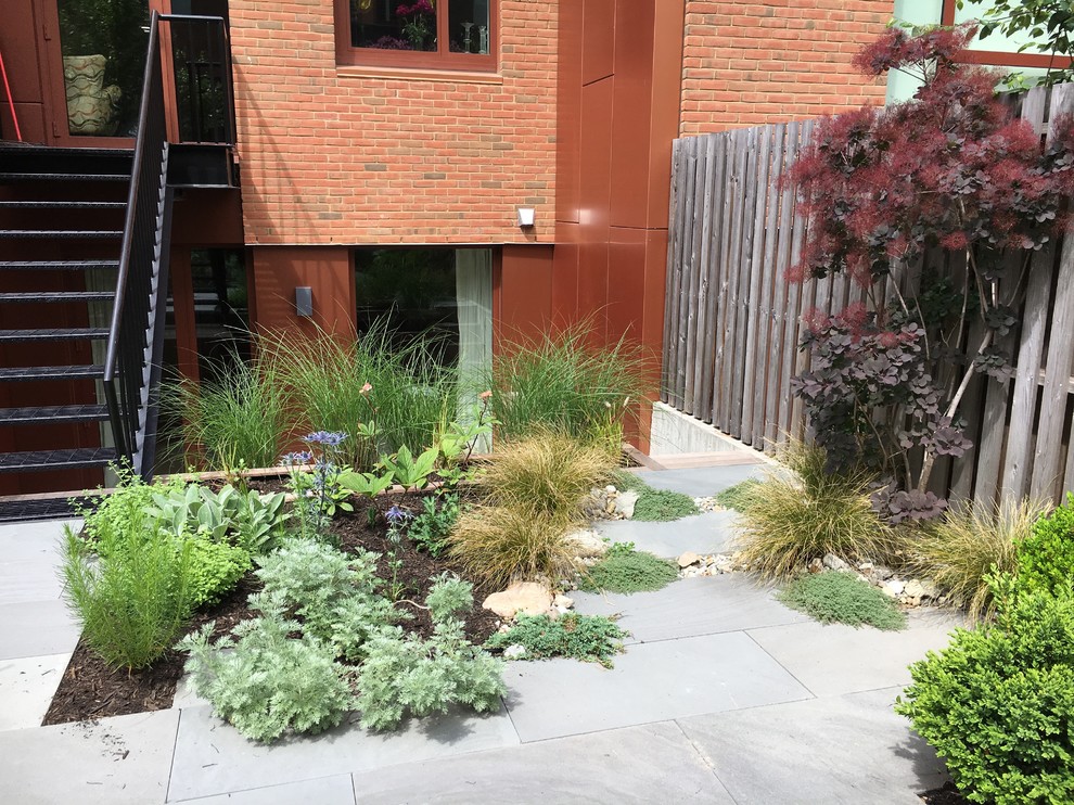 Photo of a medium sized contemporary back xeriscape full sun garden for summer in New York with a garden path and natural stone paving.