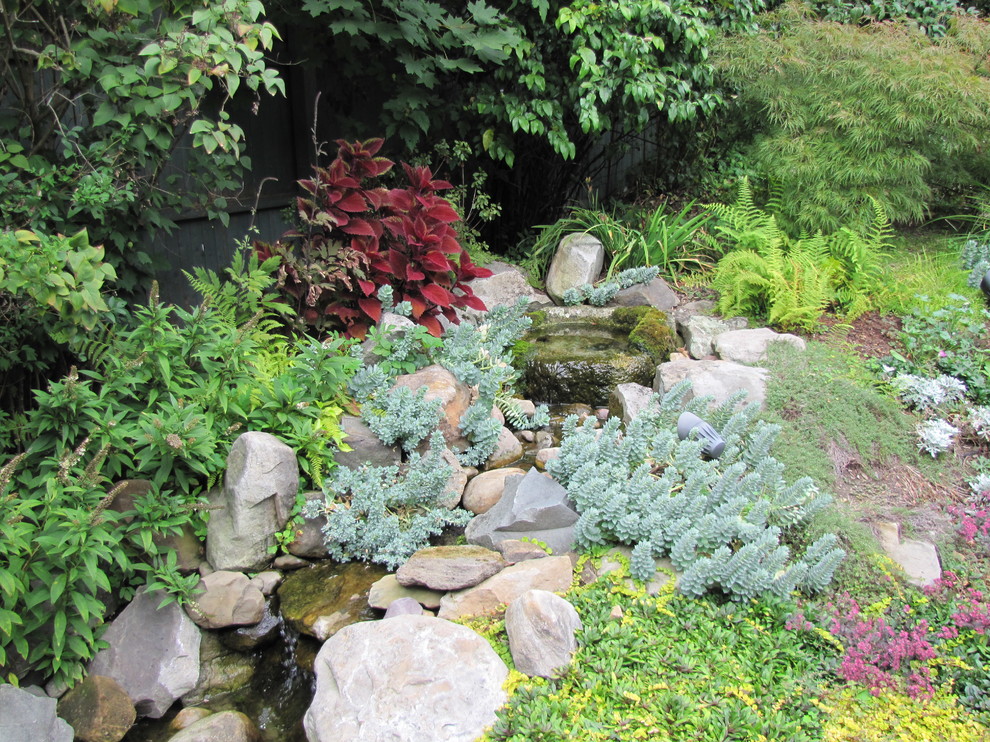 Imagen de jardín bohemio de tamaño medio en patio trasero con jardín francés y adoquines de hormigón
