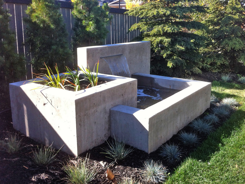Idee per un grande giardino moderno dietro casa con fontane e pavimentazioni in cemento