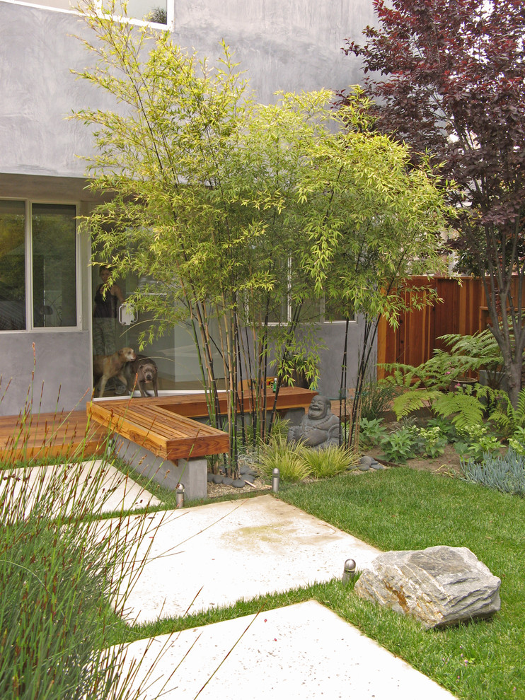 Идея дизайна: участок и сад в стиле модернизм