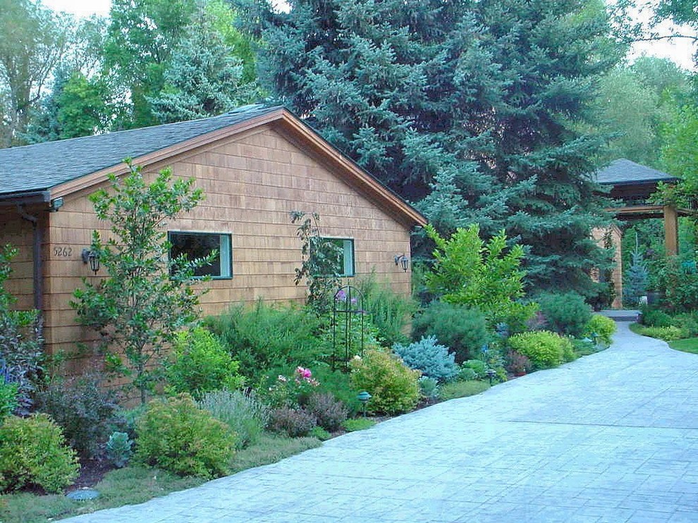 Foto di un grande giardino xeriscape classico esposto a mezz'ombra davanti casa in estate con pavimentazioni in cemento