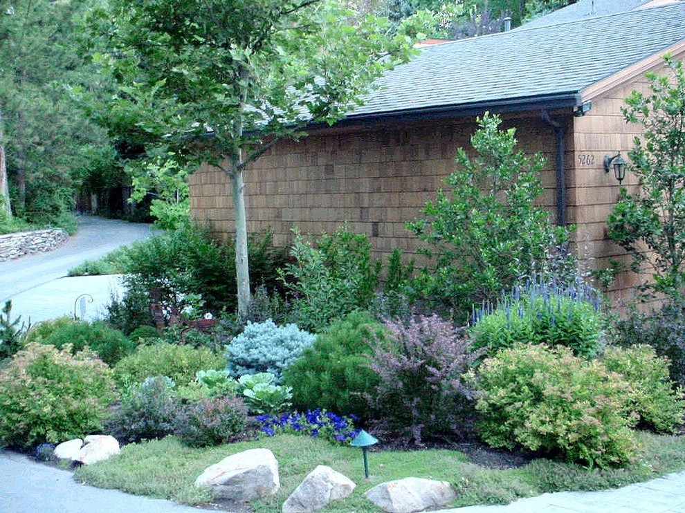 ソルトレイクシティにある高級な広い、夏のトラディショナルスタイルのおしゃれな前庭 (ゼリスケープ、半日向) の写真
