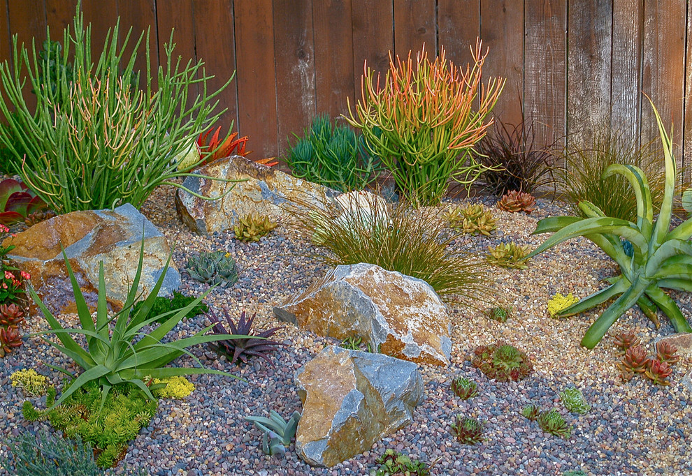 Photo of a southwestern landscaping in San Diego.