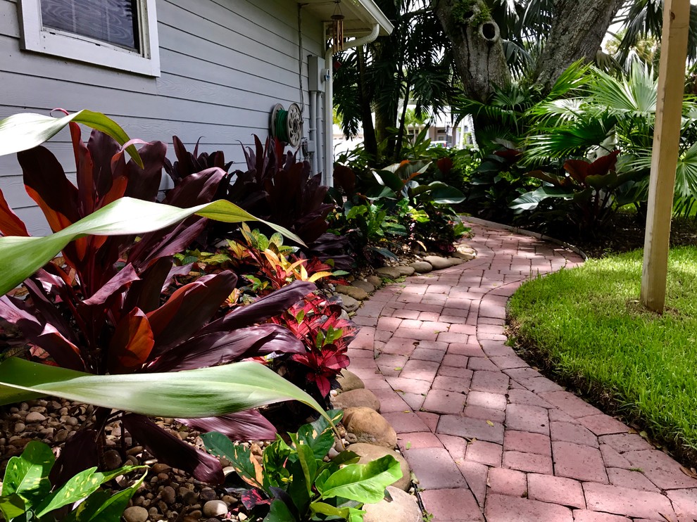 Design ideas for a tropical landscaping in Orlando.