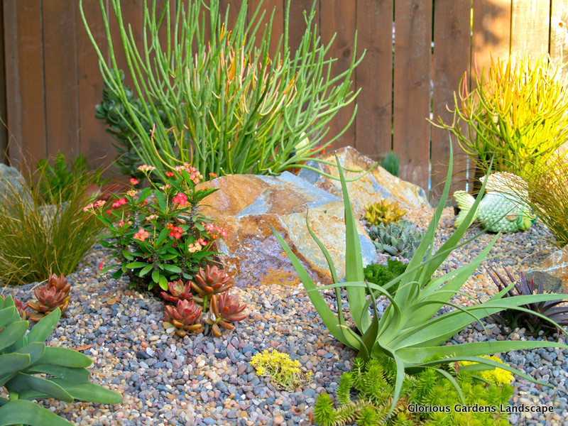 Modelo de jardín de secano ecléctico de tamaño medio en patio trasero con exposición parcial al sol y gravilla