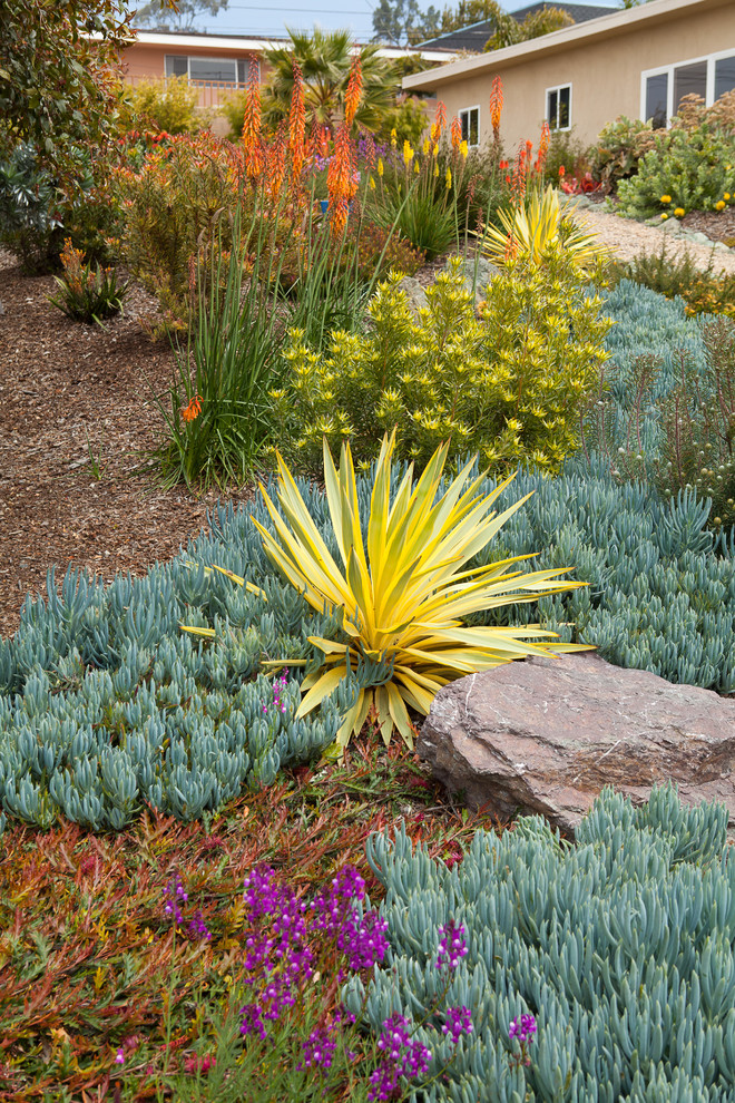 Design ideas for a mediterranean front xeriscape full sun garden for autumn in San Luis Obispo.