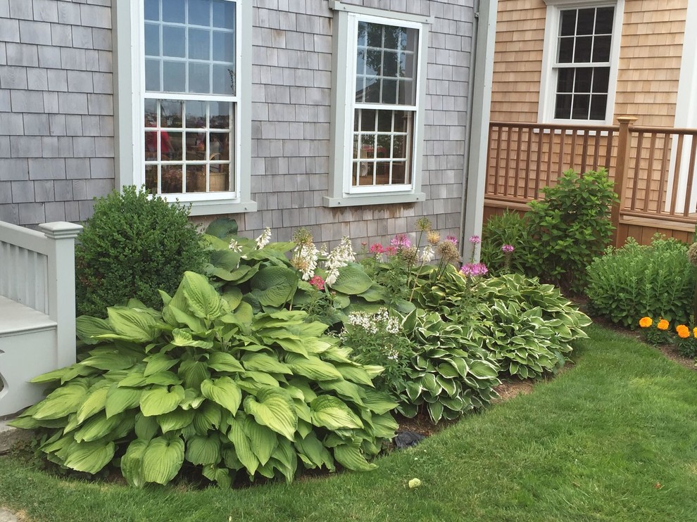 Geometrischer, Mittelgroßer, Halbschattiger Klassischer Garten im Frühling mit Mulch in Boston