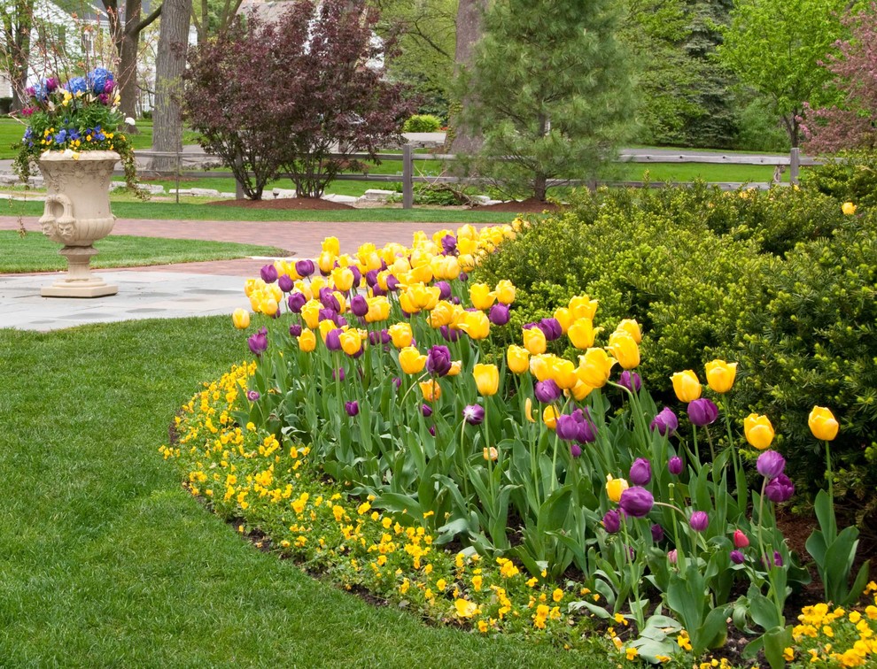 シカゴにある春のトラディショナルスタイルのおしゃれな前庭 (レンガ敷き) の写真