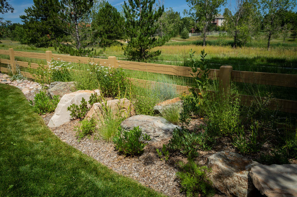 Idee per un grande giardino xeriscape esposto in pieno sole dietro casa in estate con un ingresso o sentiero e pacciame