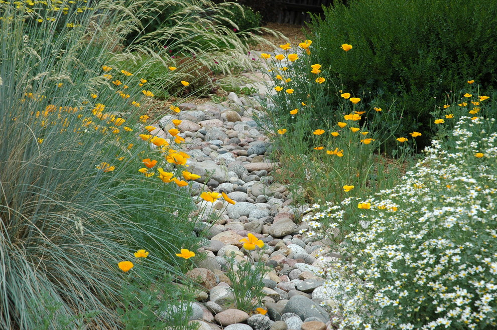Colorado Springs Xeriscape Garden Mediterranean Landscape Denver